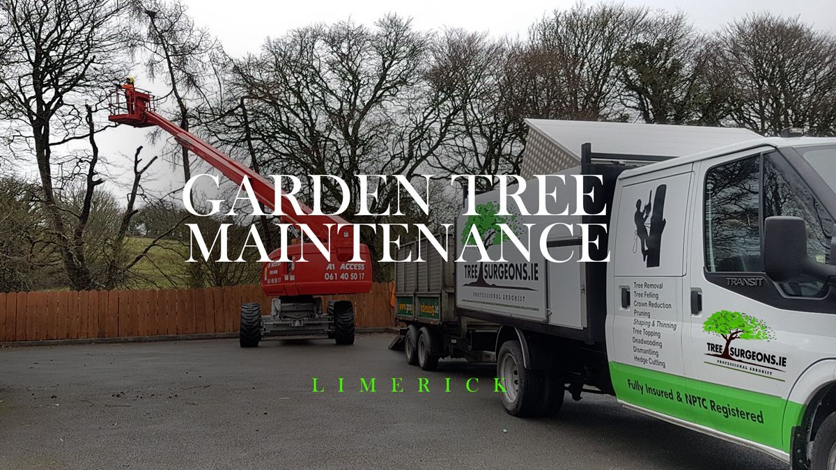 Garden tree maintenance, Limerick