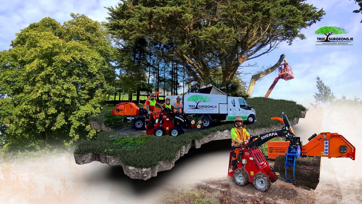 Ireland’s Largest Tree Surgeon Company