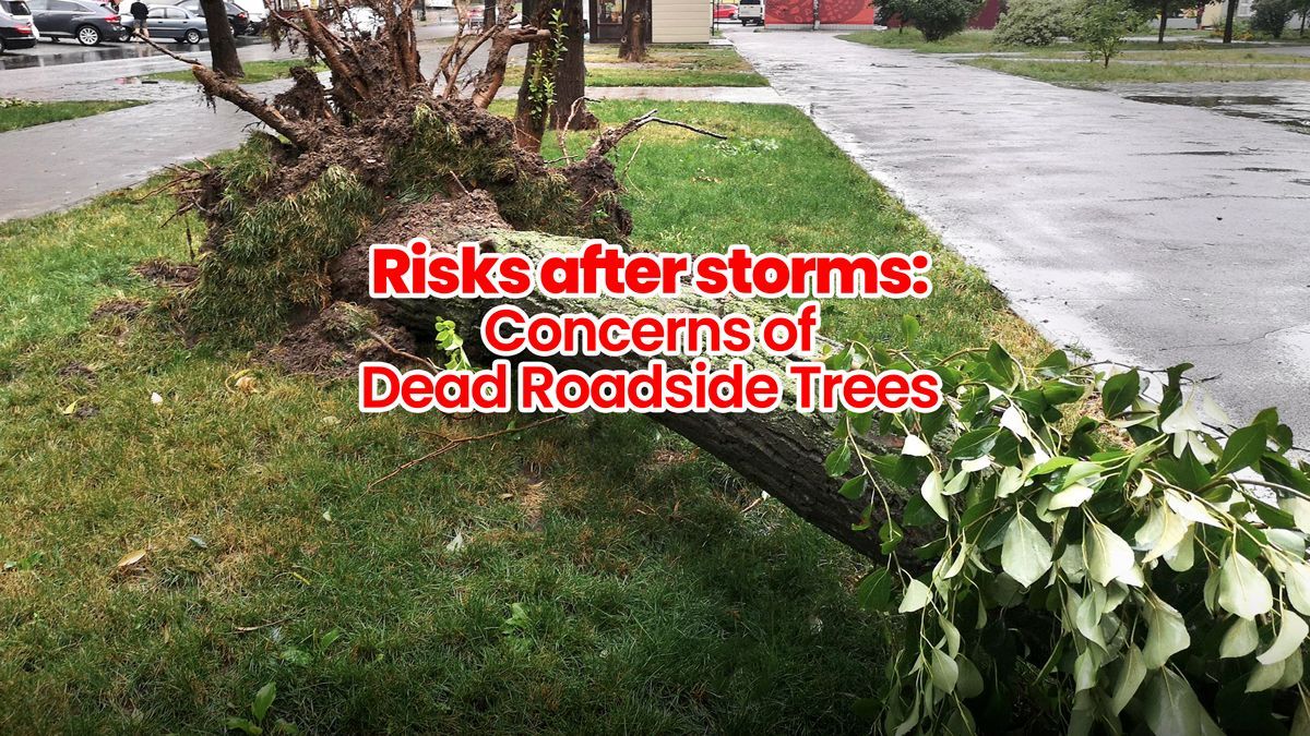Risks after storms