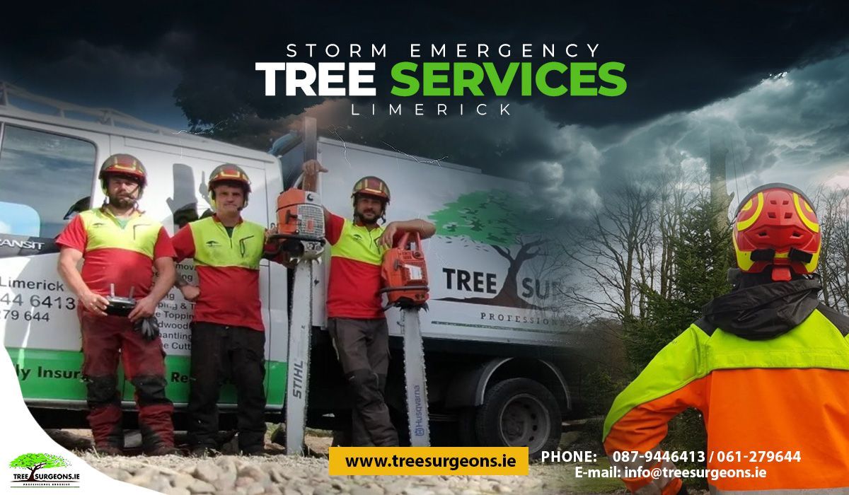 Storm Emergency Tree Services Limerick