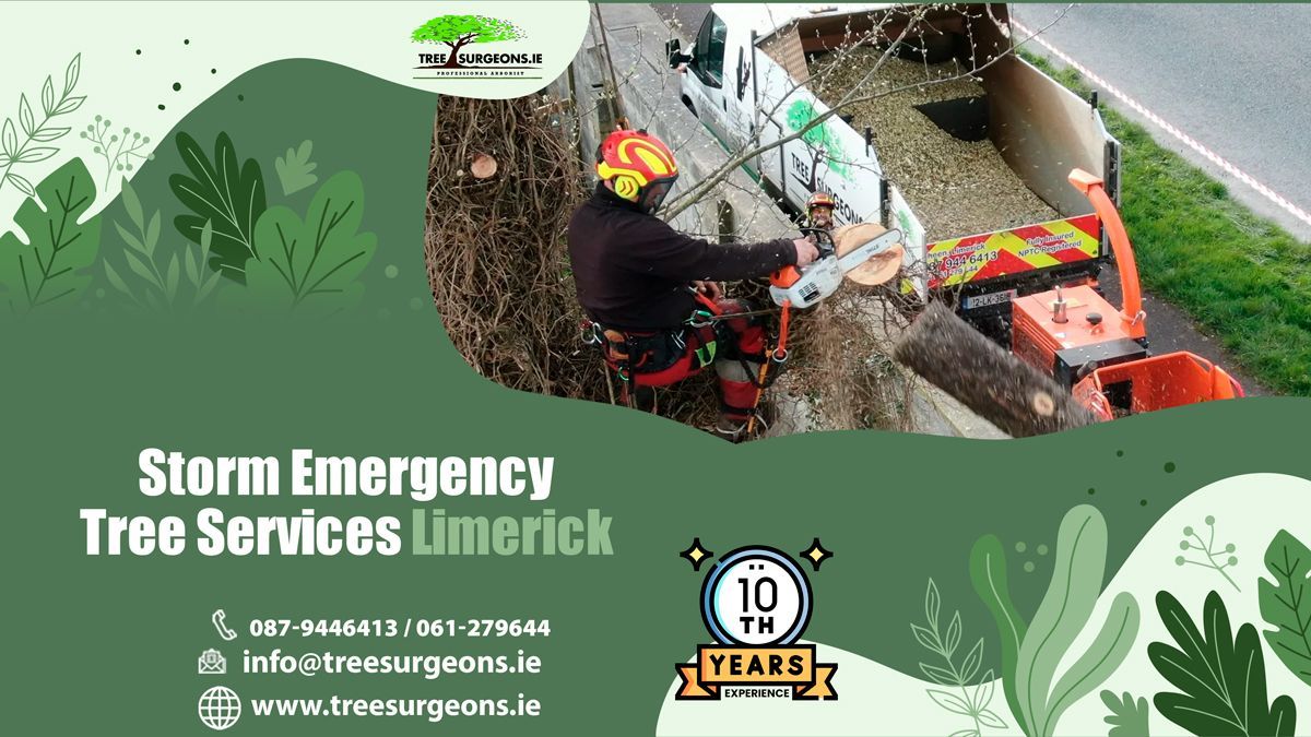 Storm Emergency Tree Services Limerick