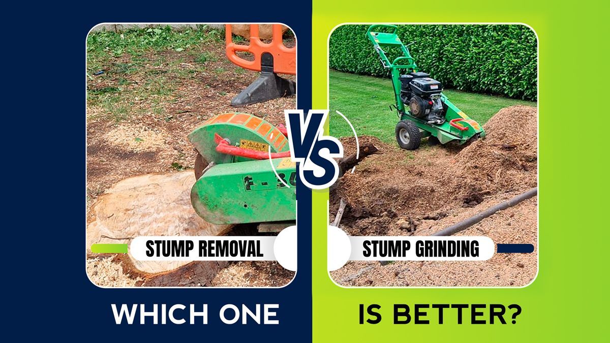 Stump Removal vs Stump Grinding 