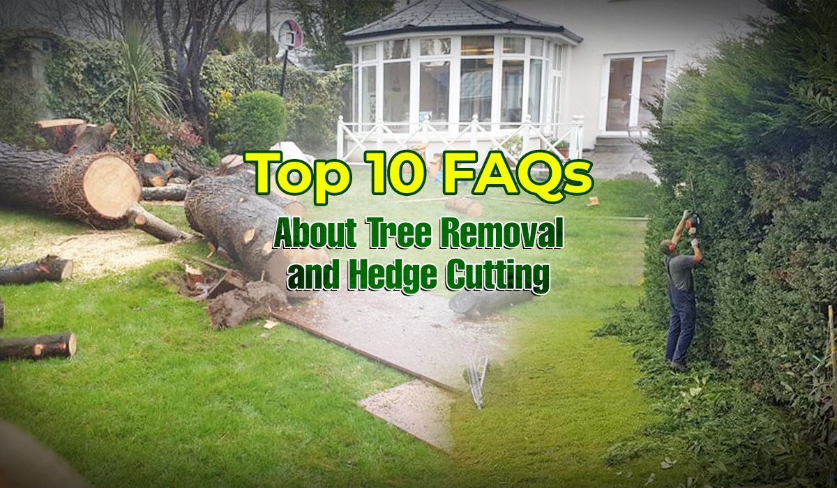 Top 10 FAQs about tree removal