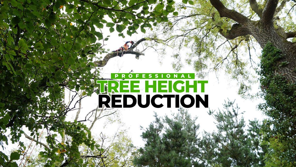 Professional Tree Height Reduction Limerick