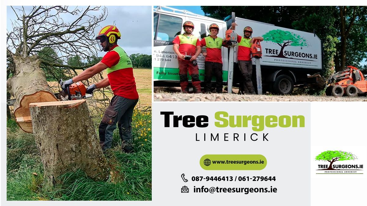 Tree Surgeon Limerick