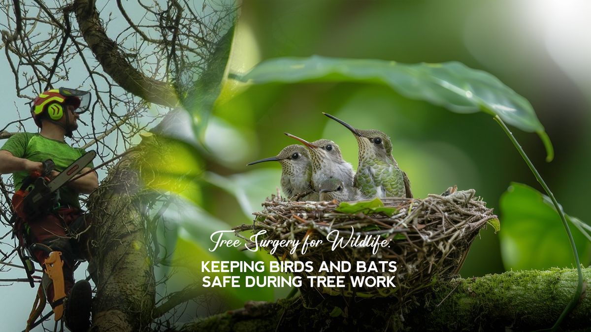 Tree Surgery for Wildlife