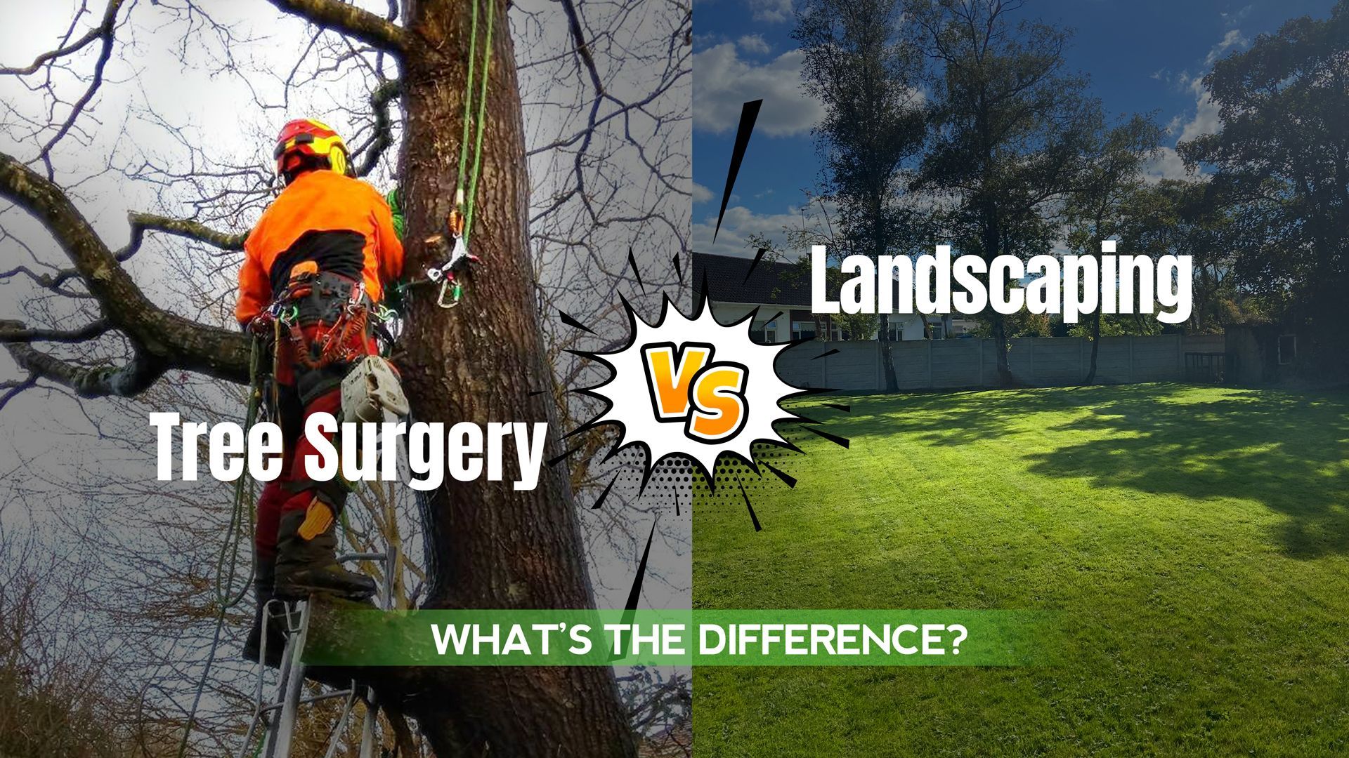 Tree Surgery vs. Landscaping: What’s the Difference?