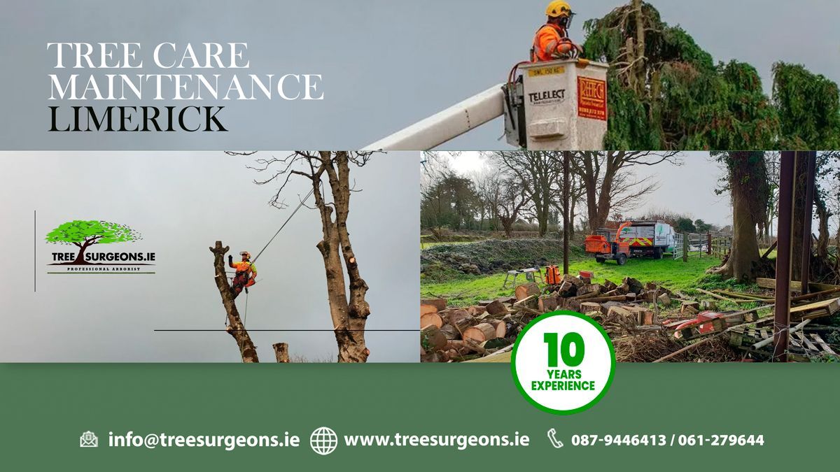 Tree care maintenance 