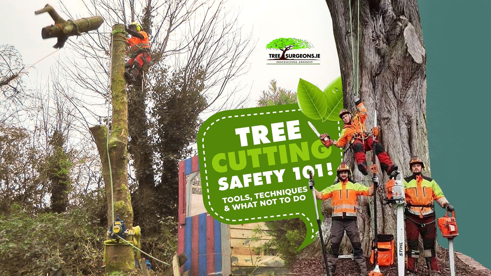 Tree cutting in Limerick