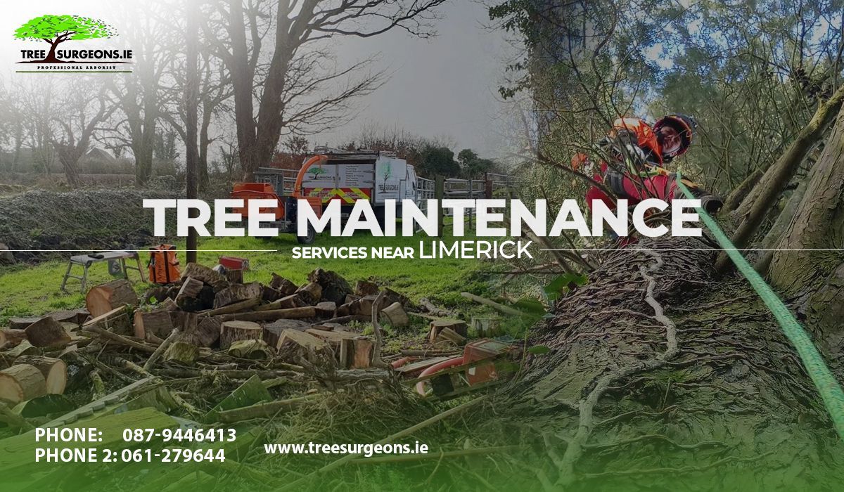 Tree maintenance services near me Limerick