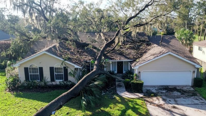 emergency tree removal Limerick