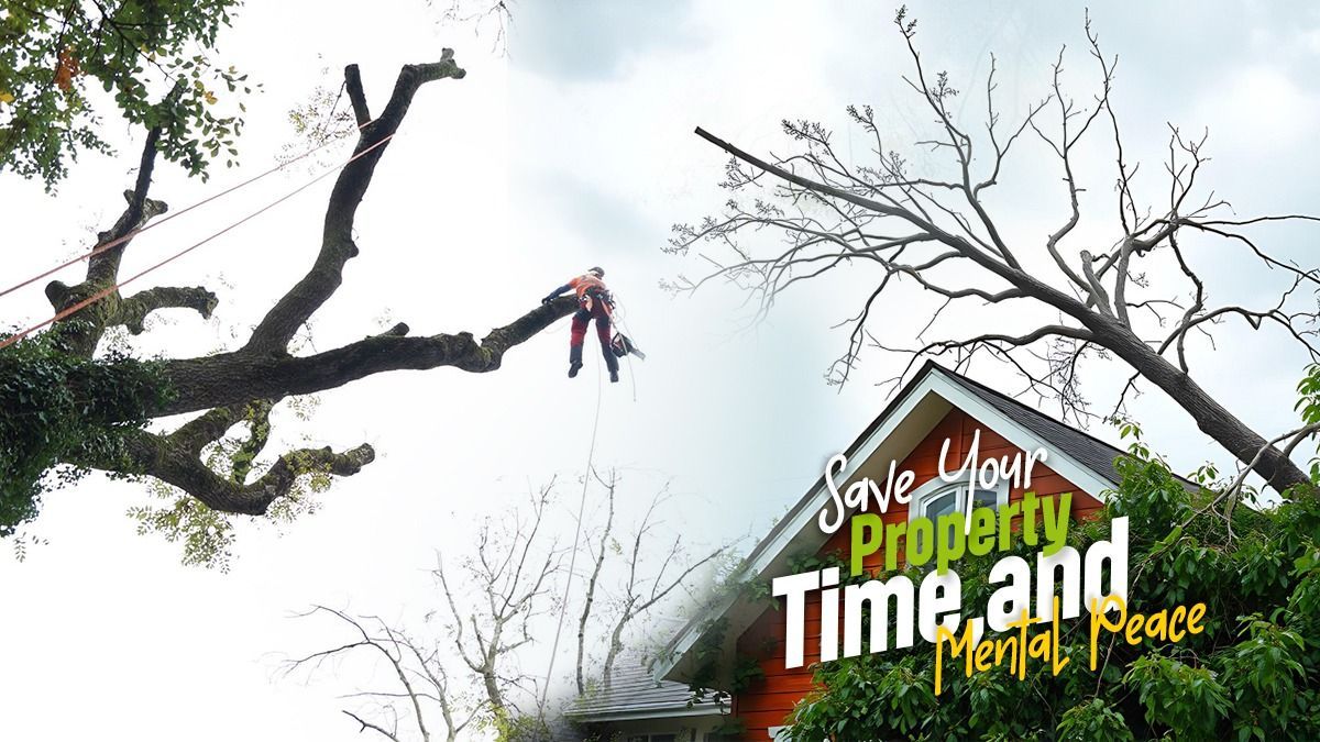 Emergency tree removal Limerick
