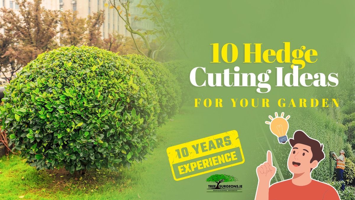 Top 10 Hedge Cutting Ideas
