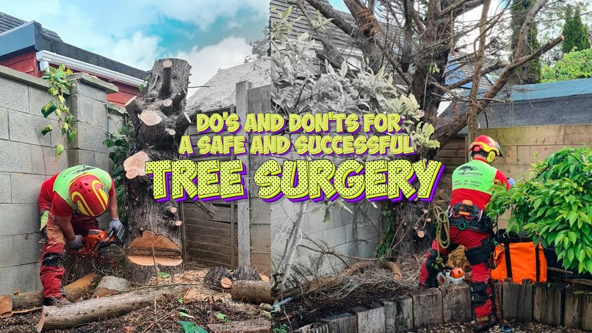 Tree Surgeon Limerick