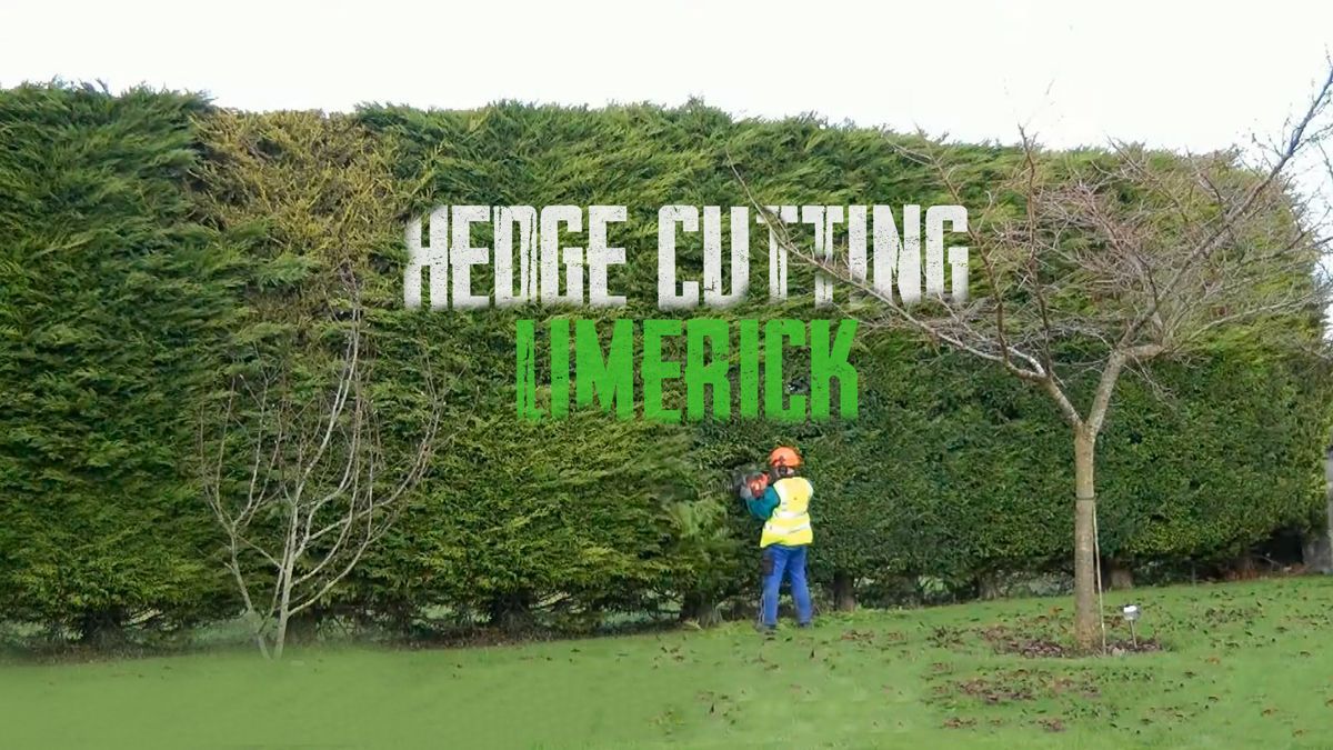 Hedge cutting Limerick