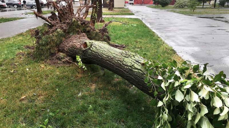 24-hour Storm Emergency