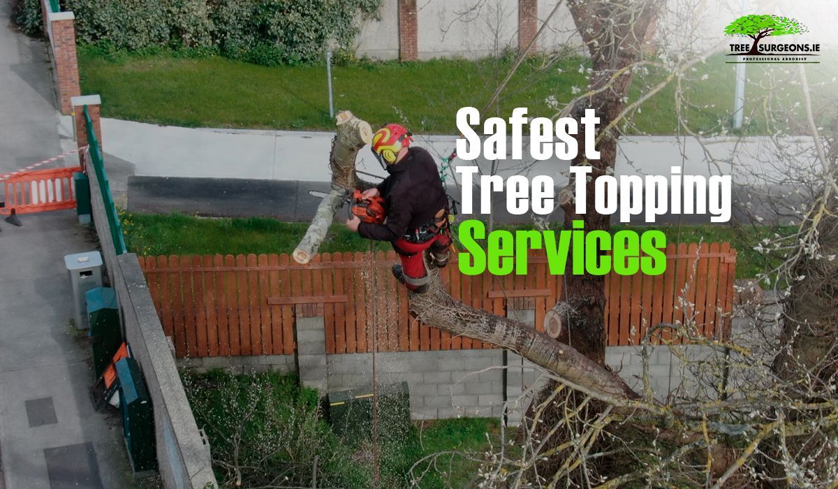 tree Topping services in Limerick