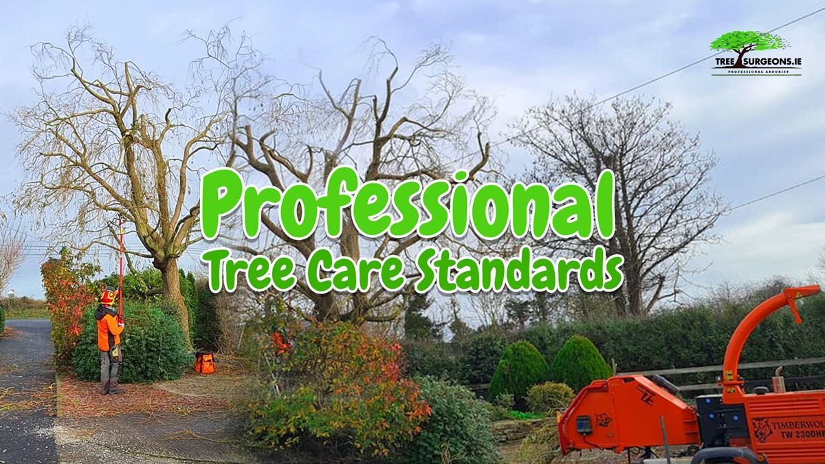 tree care company Limerick