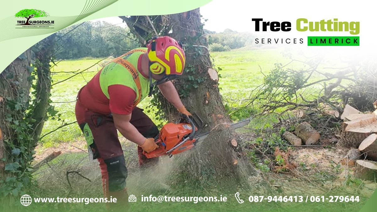 tree cutting services Limerick