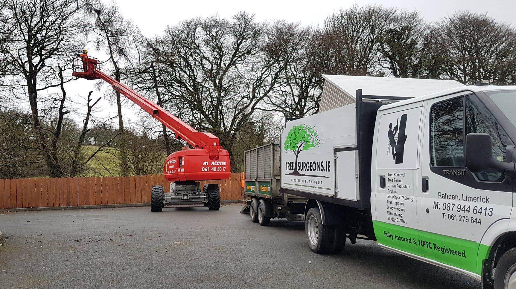 Garden tree maintenance Limerick