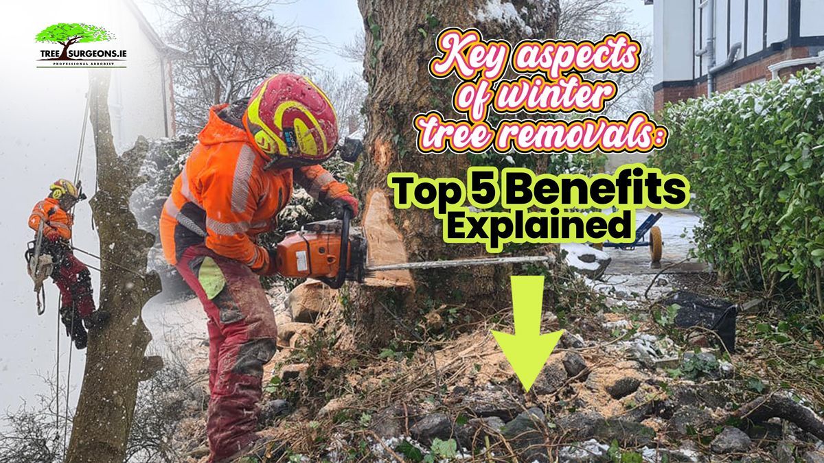 Winter tree removals