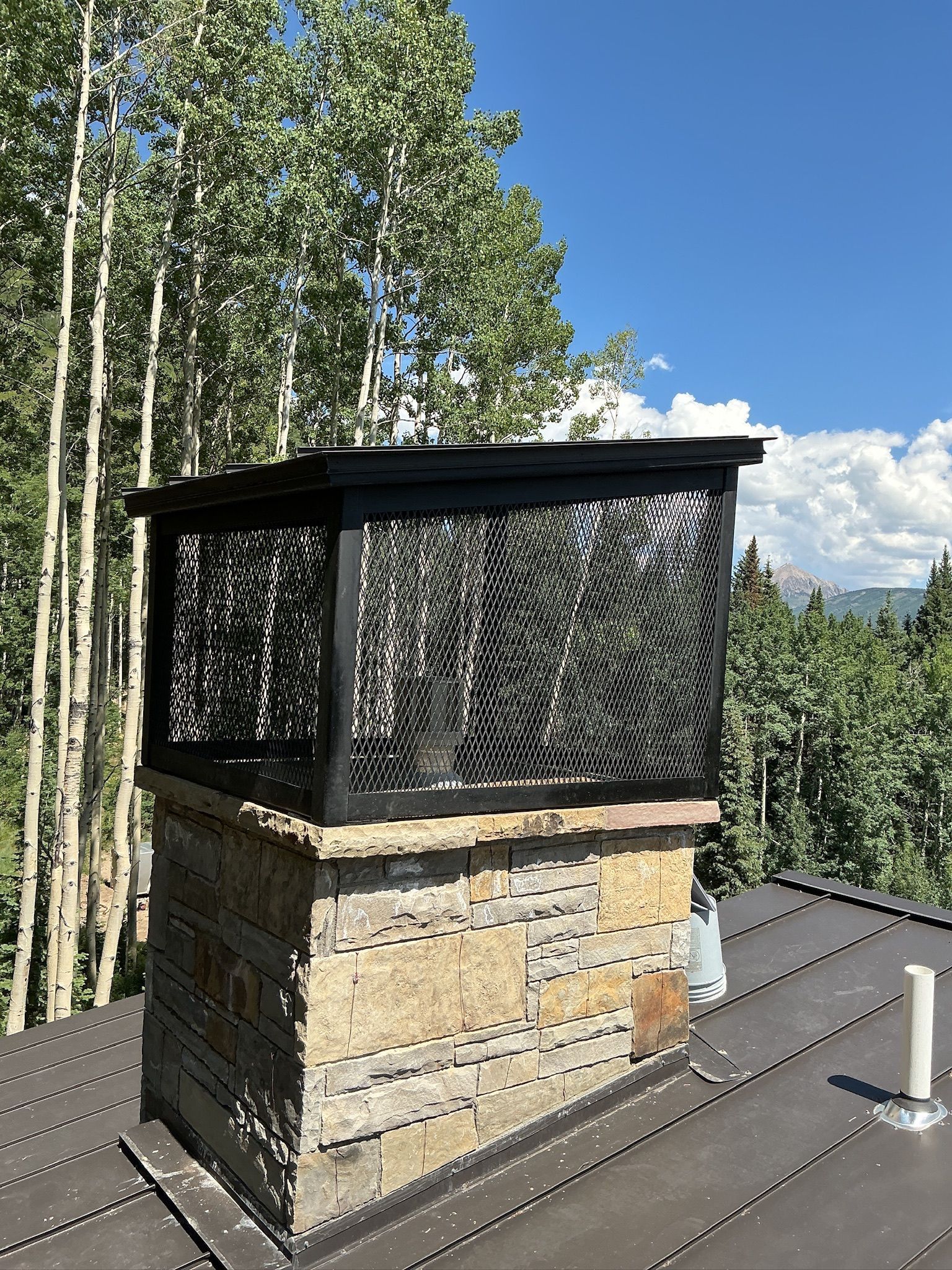 A large house with a metal roof is sitting on top of a hill.