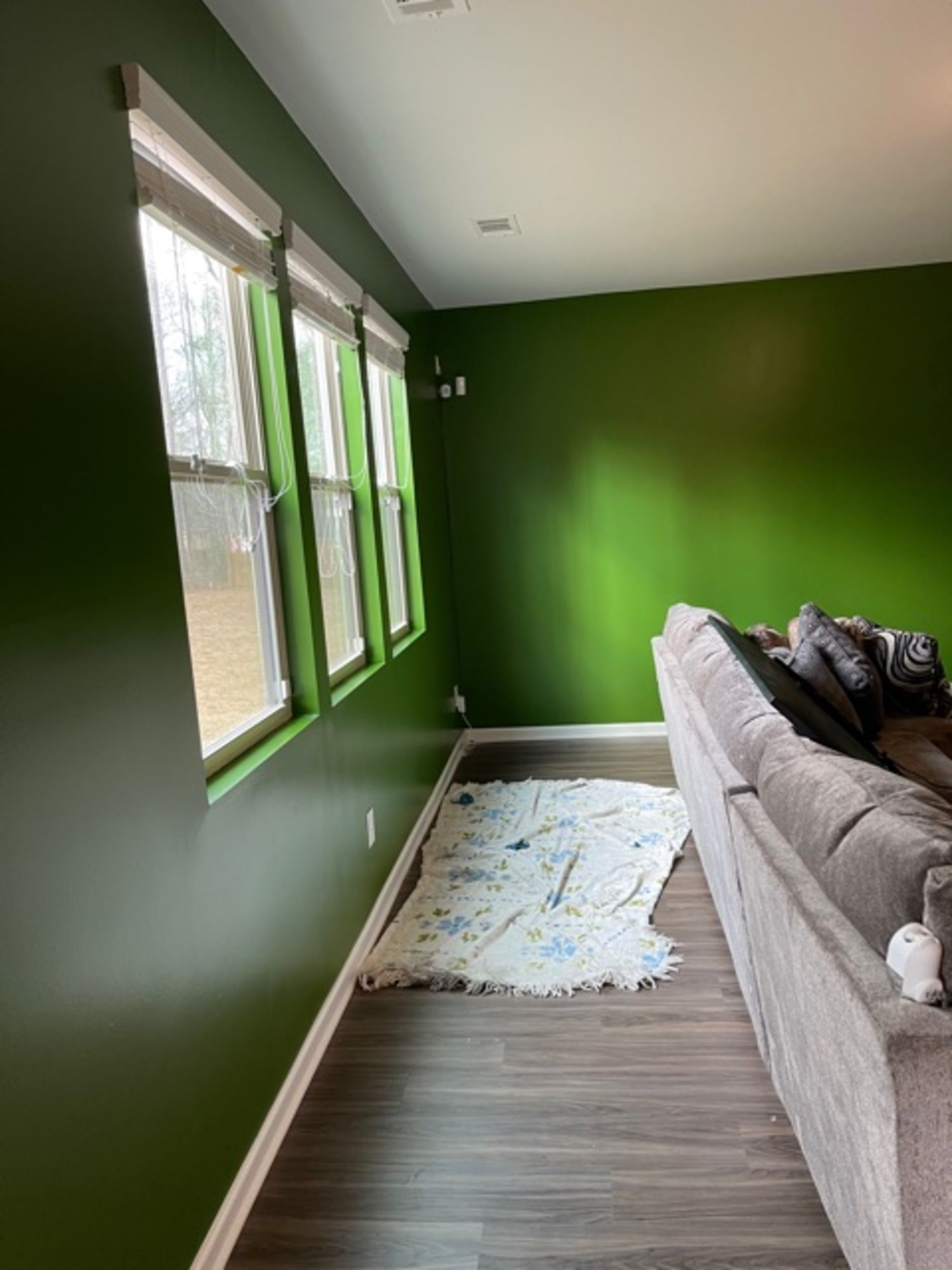 A living room with green walls and a couch.