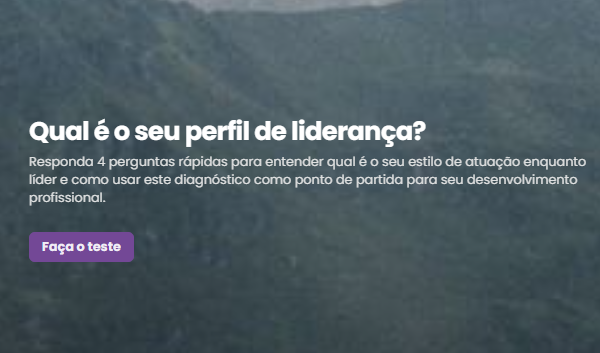 Qual é o seu perfil de liderança?
