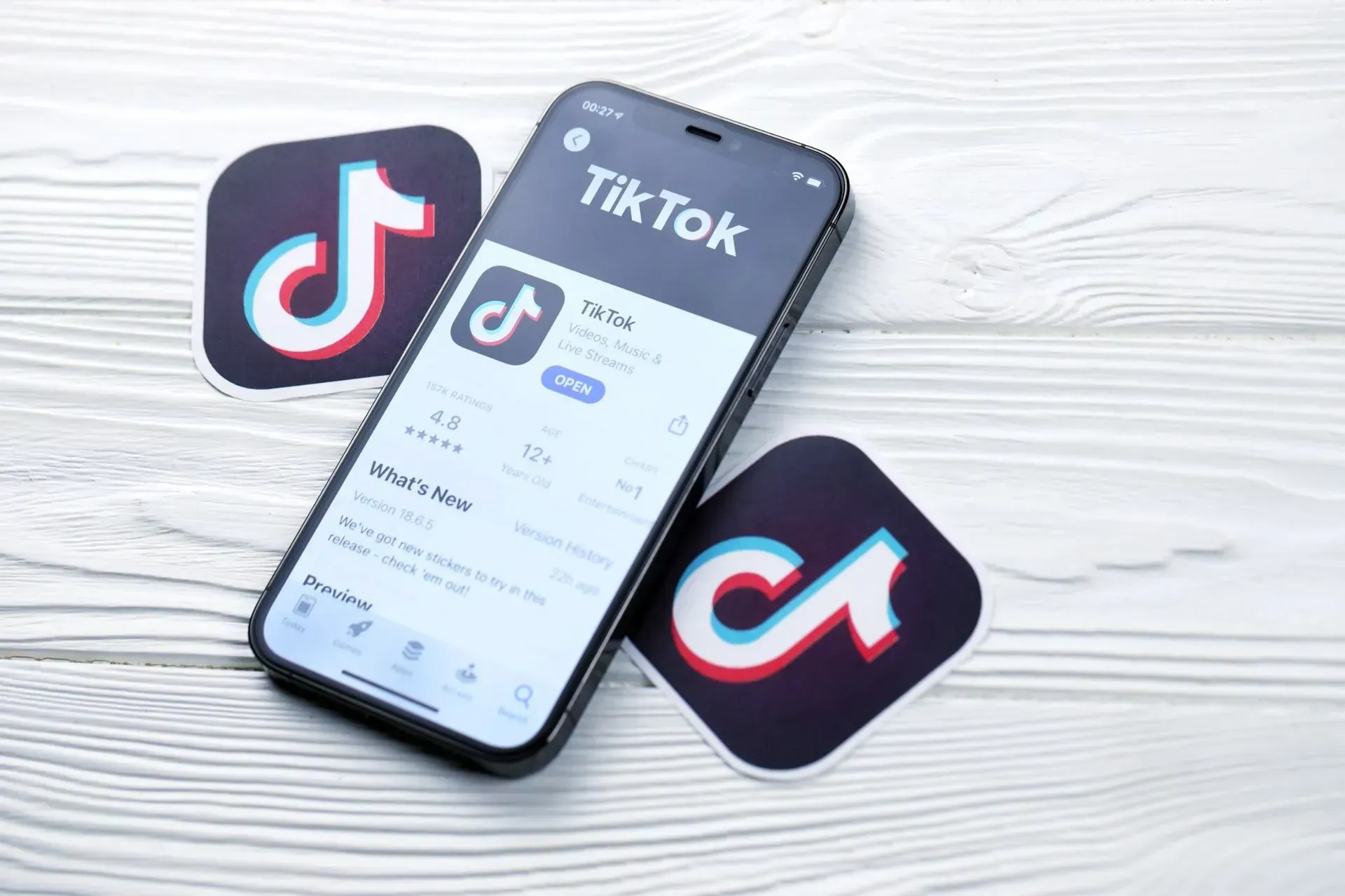 2024 TikTok ads guide crafted by a Tampa SEO agency
