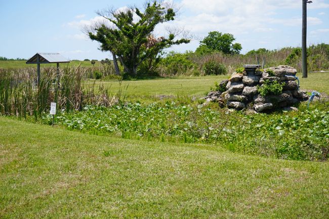 Grassy field with wildflowers, a stone pile, and a tree under a bright sky