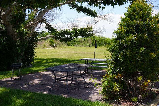 Shaded picnic tables in a sunny park with green grass and trees