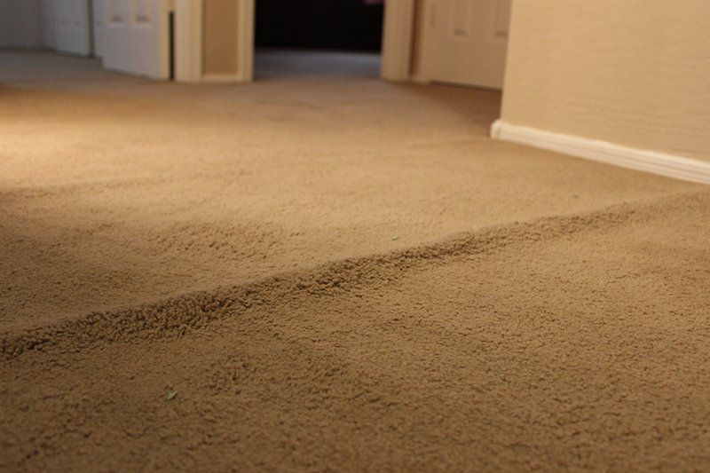 A close up of a carpeted floor in a room.