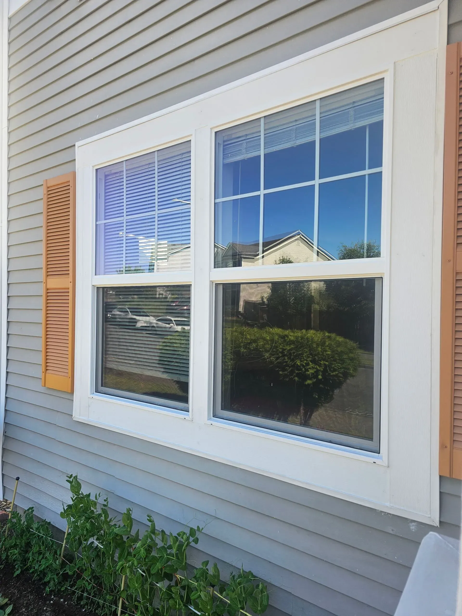 A white-framed, double-hung window with a grid pattern on a house with light gray siding and brown shutters.