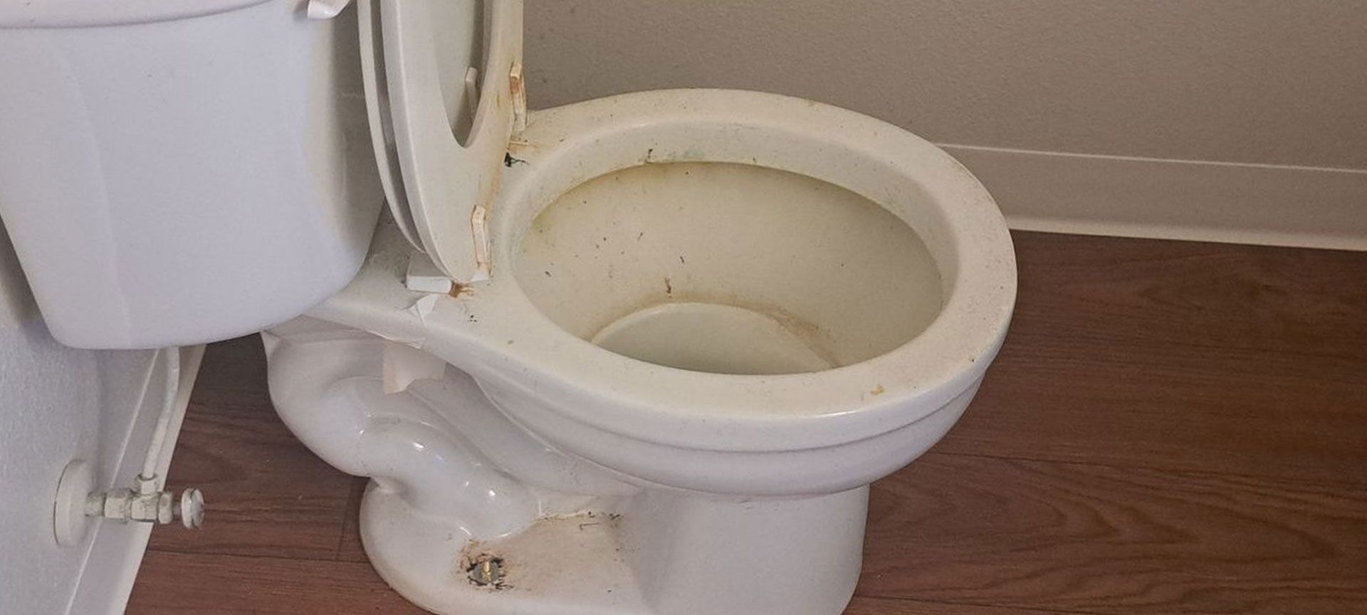 White toilet with the lid open in a bathroom with wood floors and white and beige walls.