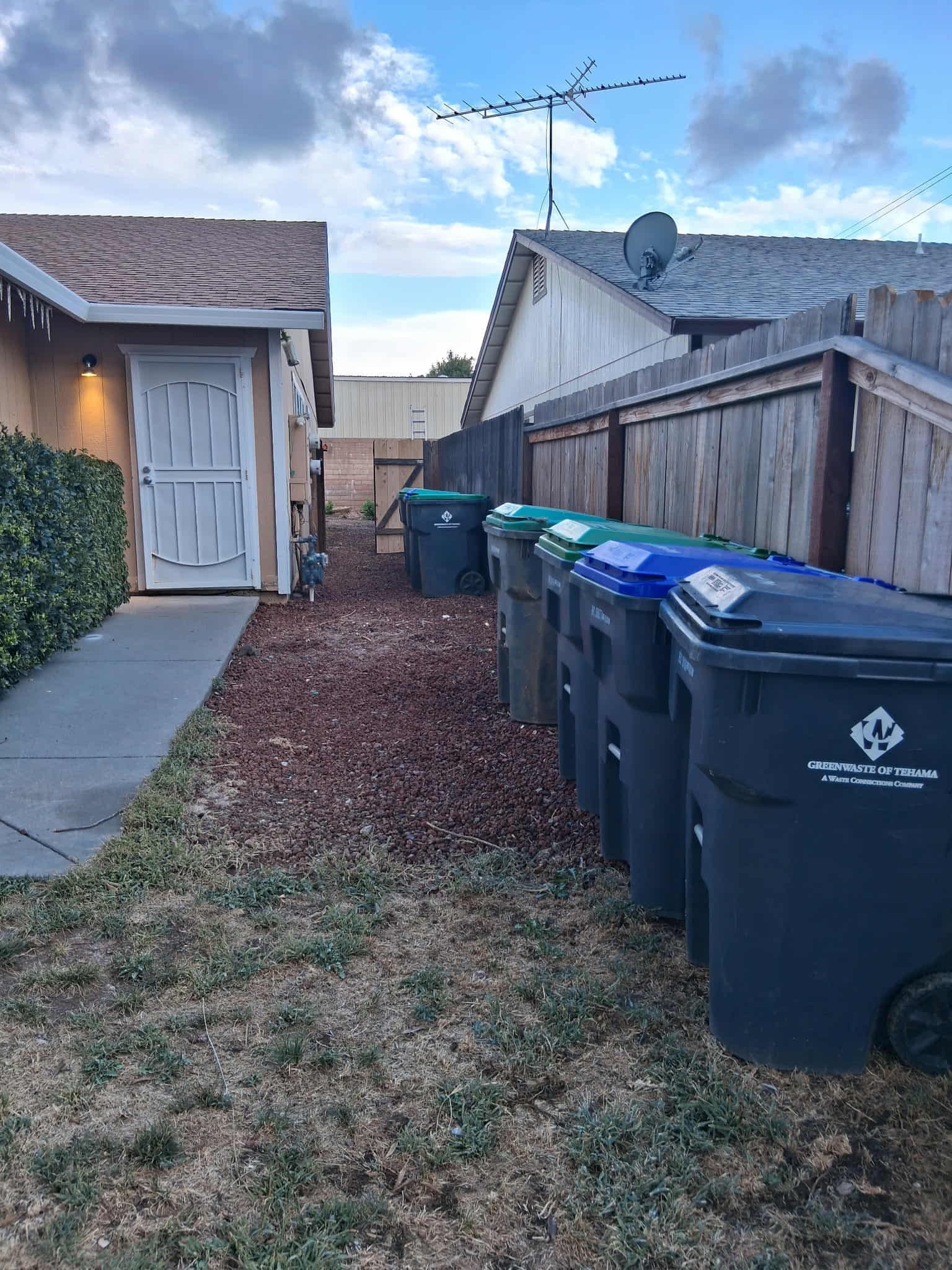 Backyard with trash bins lined up against a wooden fence, alongside a building. Blue sky.