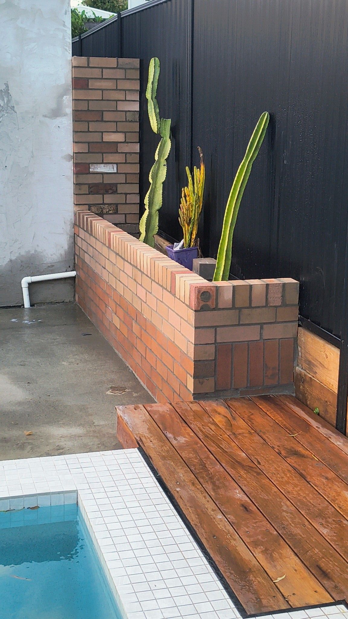 Brick Planter With Cacti Next To A Pool With Wooden Deck — Bricks By Dre In Tallai, QLD