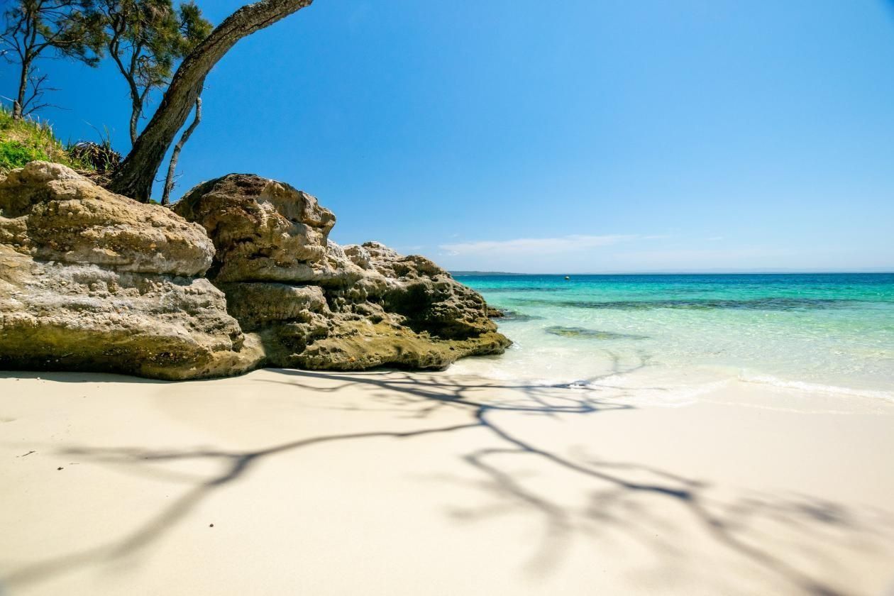 A Beach With A Tree In The Foreground And A Tree In The Background — Sal's Excavations In Jervis Bay, NSW