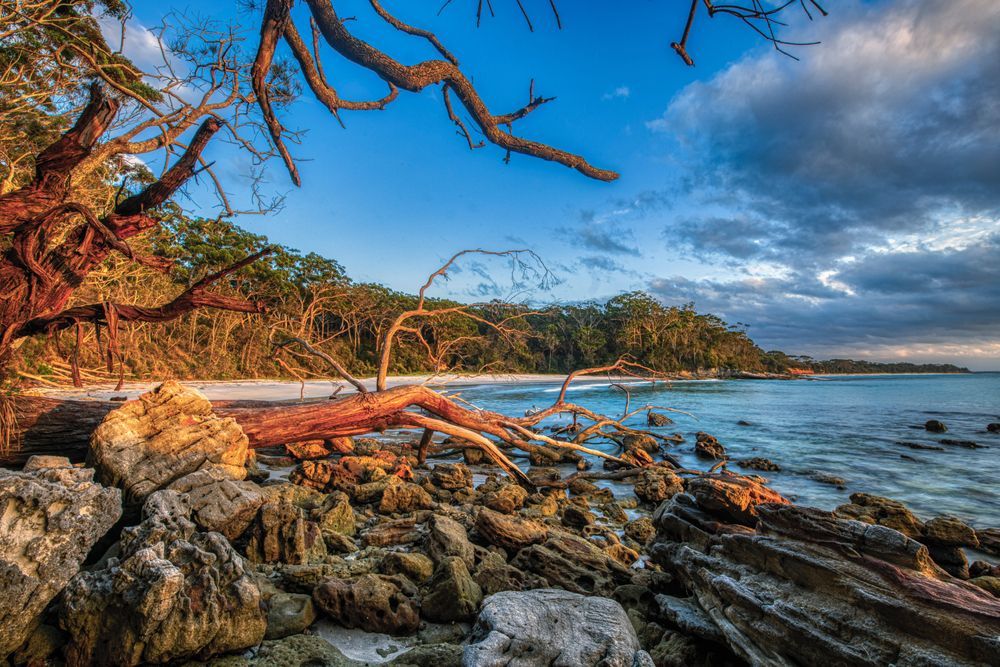 A Boat Is Going Down A River In Front Of A Tall Building — Sal's Excavations In Jervis Bay, NSW