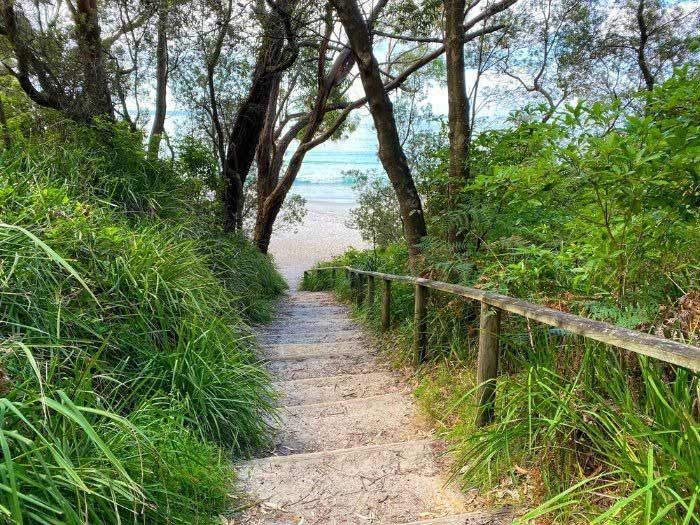 A Path Leading To The Beach Through A Lush Green Forest — Sal's Excavations In Jervis Bay, NSW