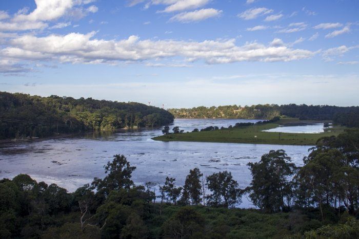 A Large Body Of Water Surrounded By Trees On A Sunny Day — Sal's Excavations In Nowra, NSW
