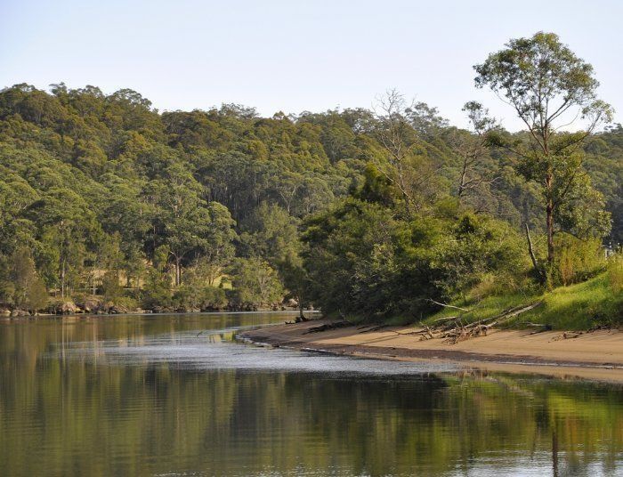 A Large Body Of Water Surrounded By Trees And A Sandy Beach — Sal's Excavations In Nowra, NSW