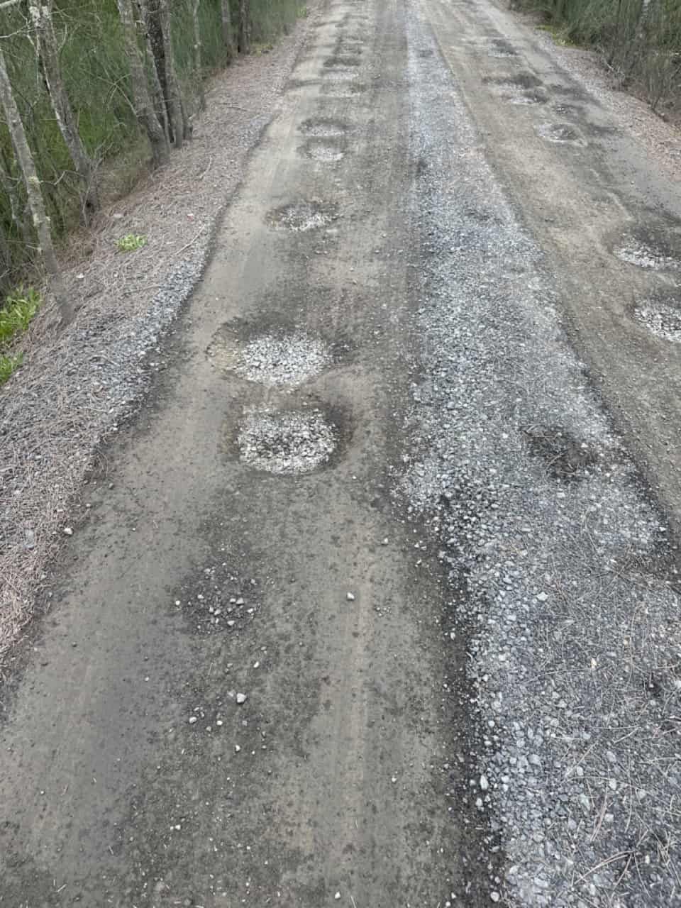 A Dirt Road With Holes In It Going Through A Forest — Sal's Excavations In Vincentia, NSW