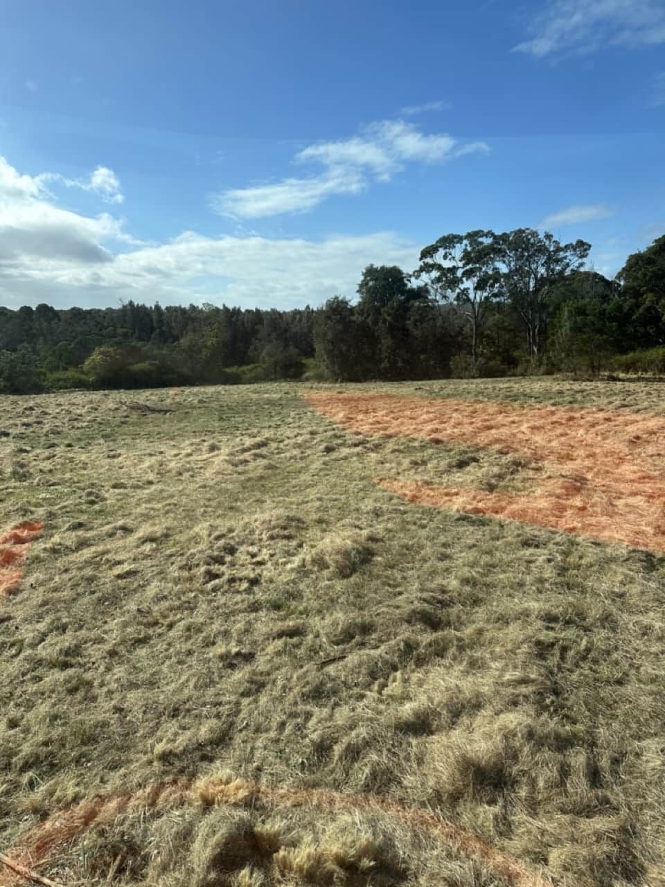 A Field Of Dry Grass Slashed On A Sunny Day — Sal's Excavations In Vincentia, NSW