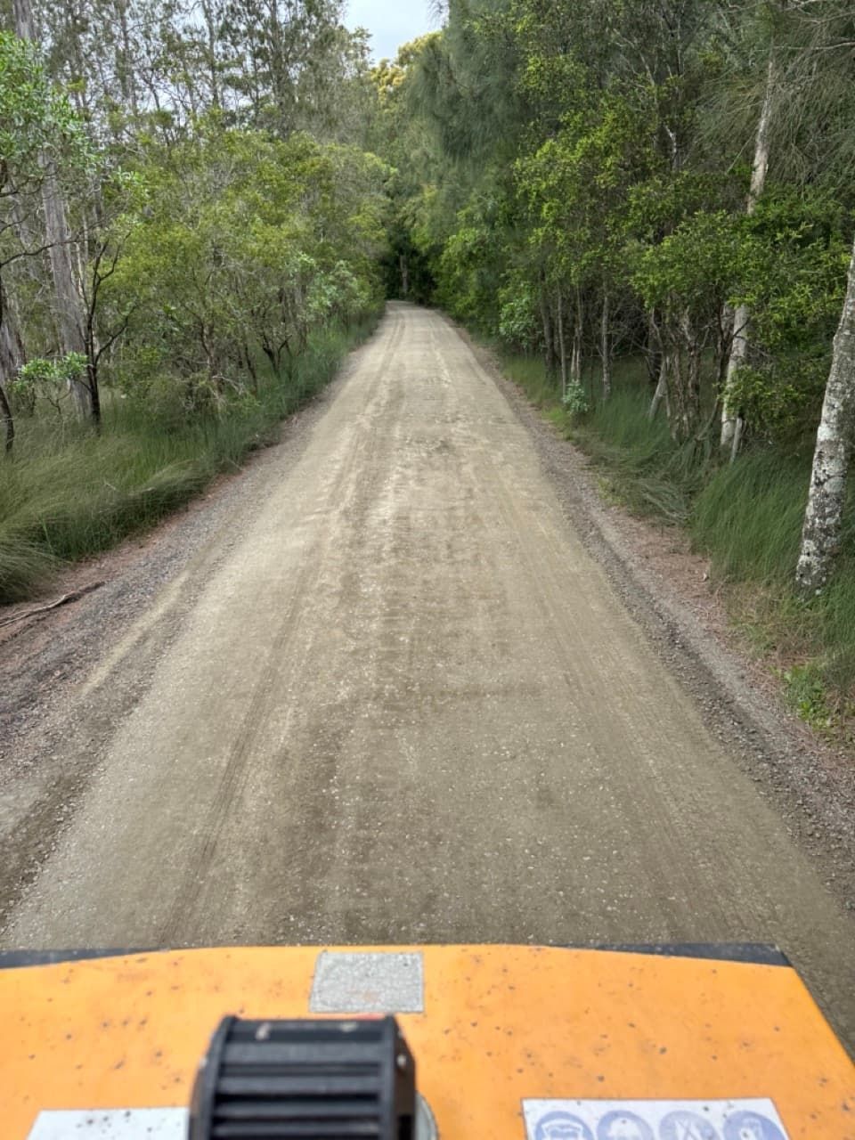 A Yellow Excavator Is Digging A Hole In The Ground — Sal's Excavations In Jervis Bay, NSW