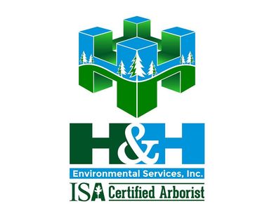 Tree Service Logo | Tampa, FL | H&H Environmental Services