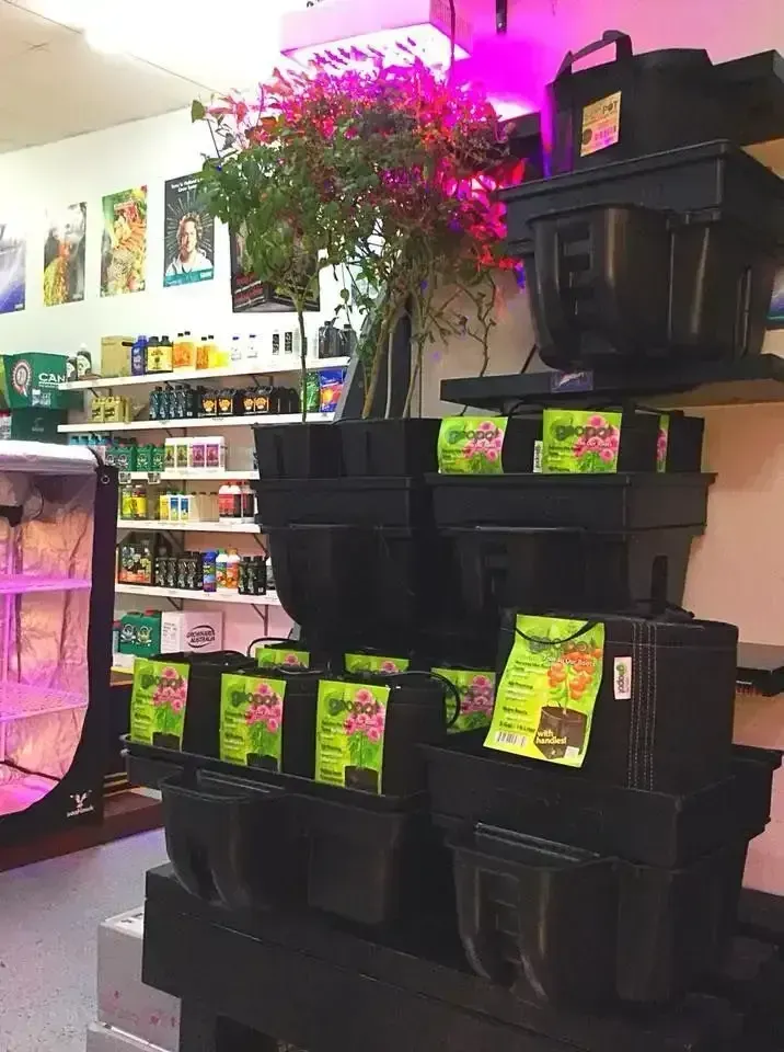 Indoor Hydroponics Store With Stacked Black Planters — Cairns Hydroponics In Bungalow, QLD
