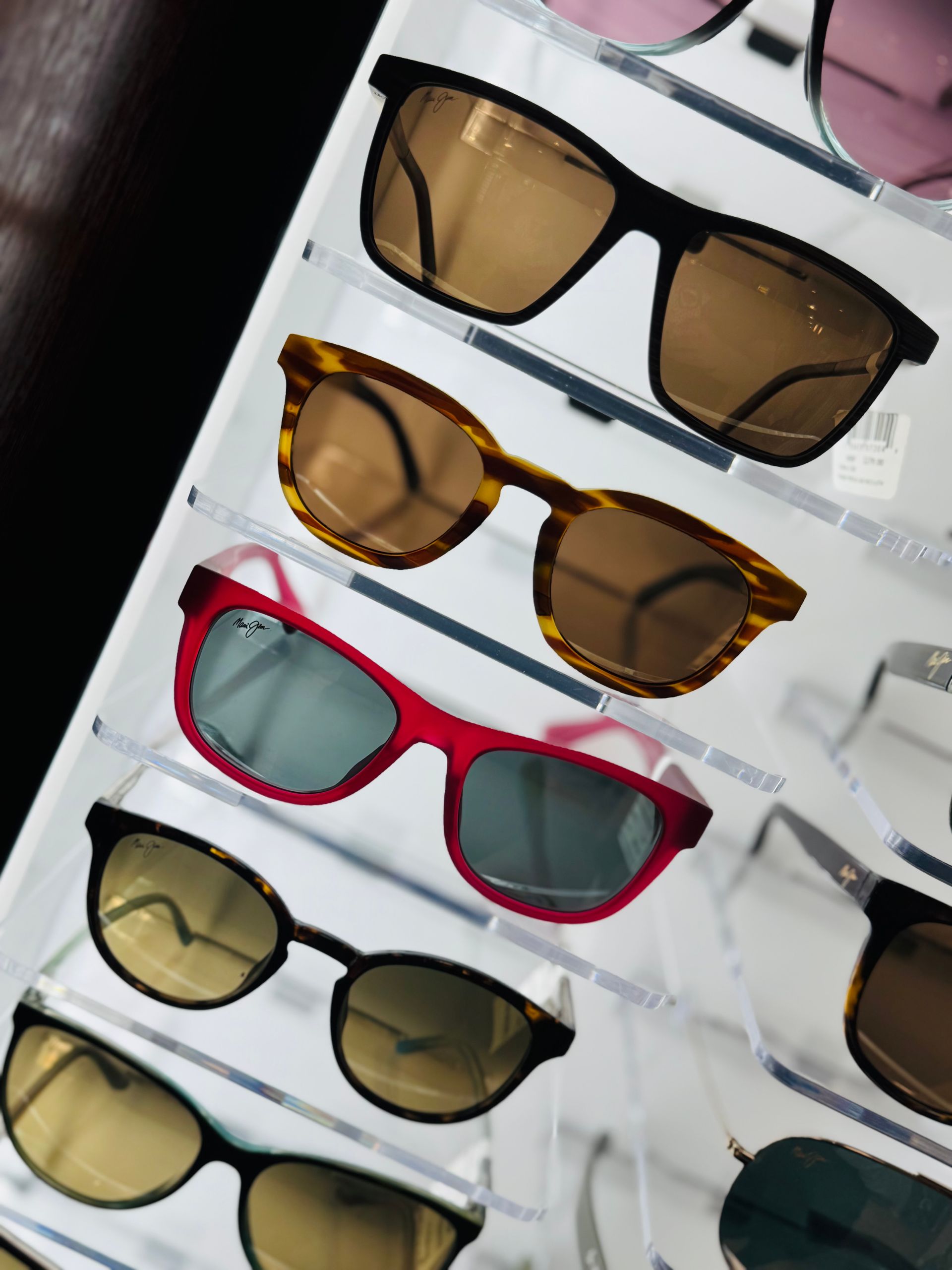 A variety of sunglasses are displayed on a shelf