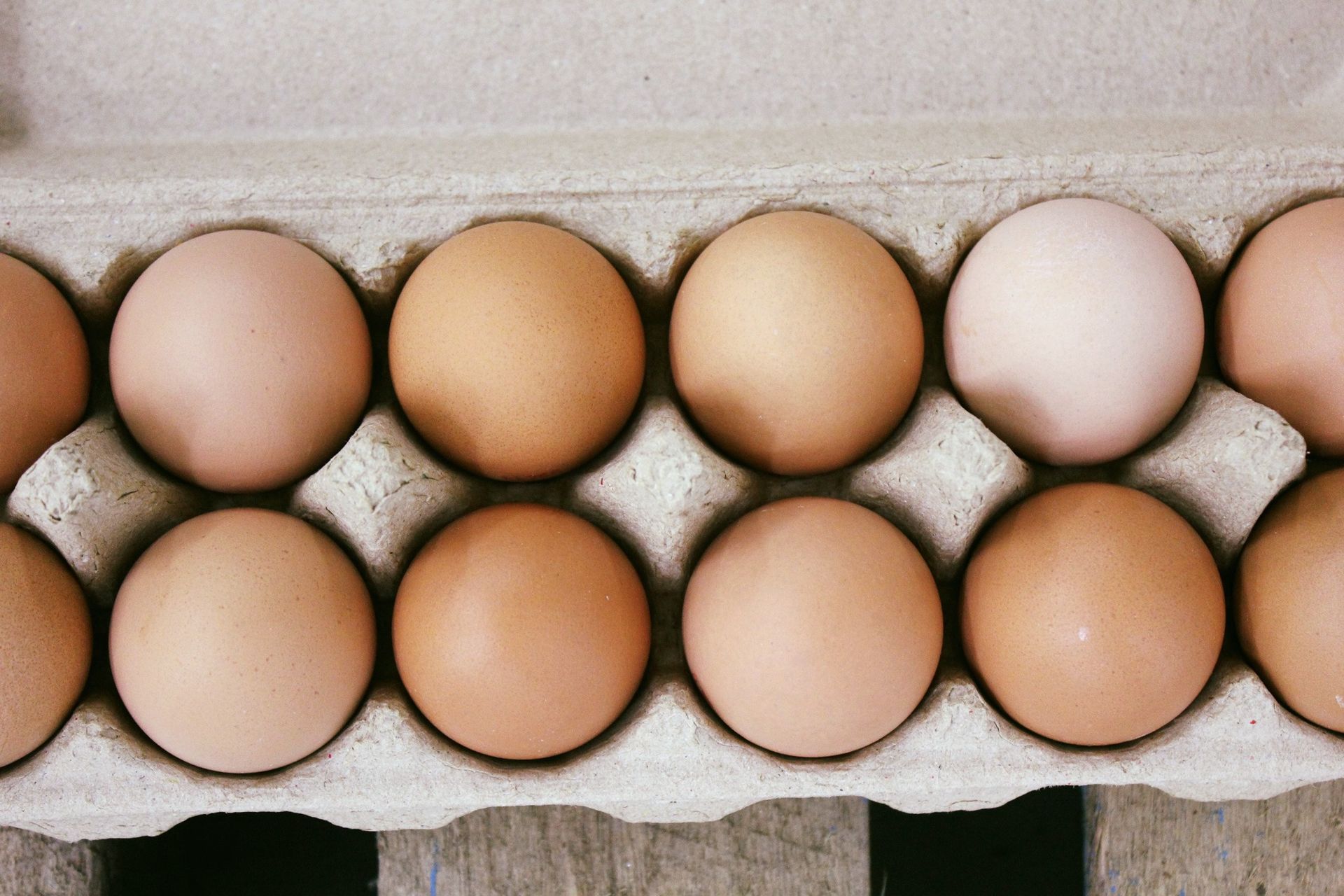 Quality Fresh Eggs — Llandilo, NSW — Llandilo Farm Fresh Eggs