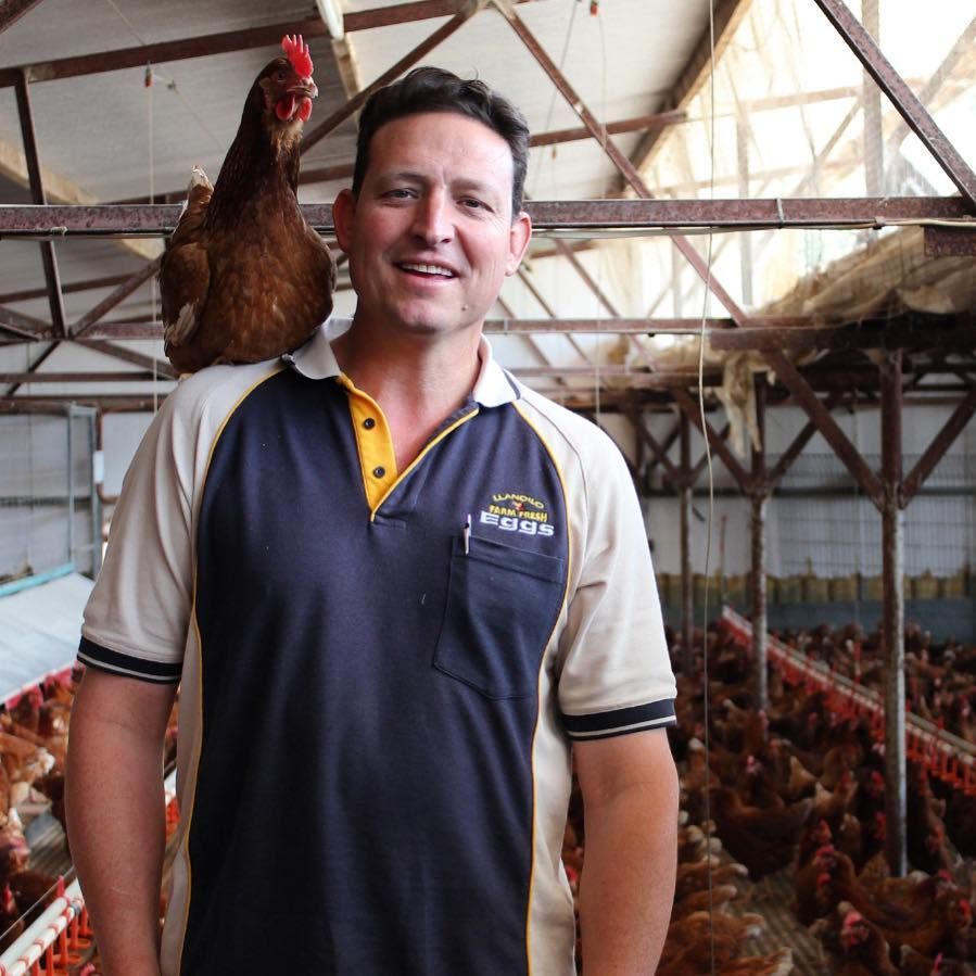 Hen on Man's Shoulder — Llandilo, NSW — Llandilo Farm Fresh Eggs
