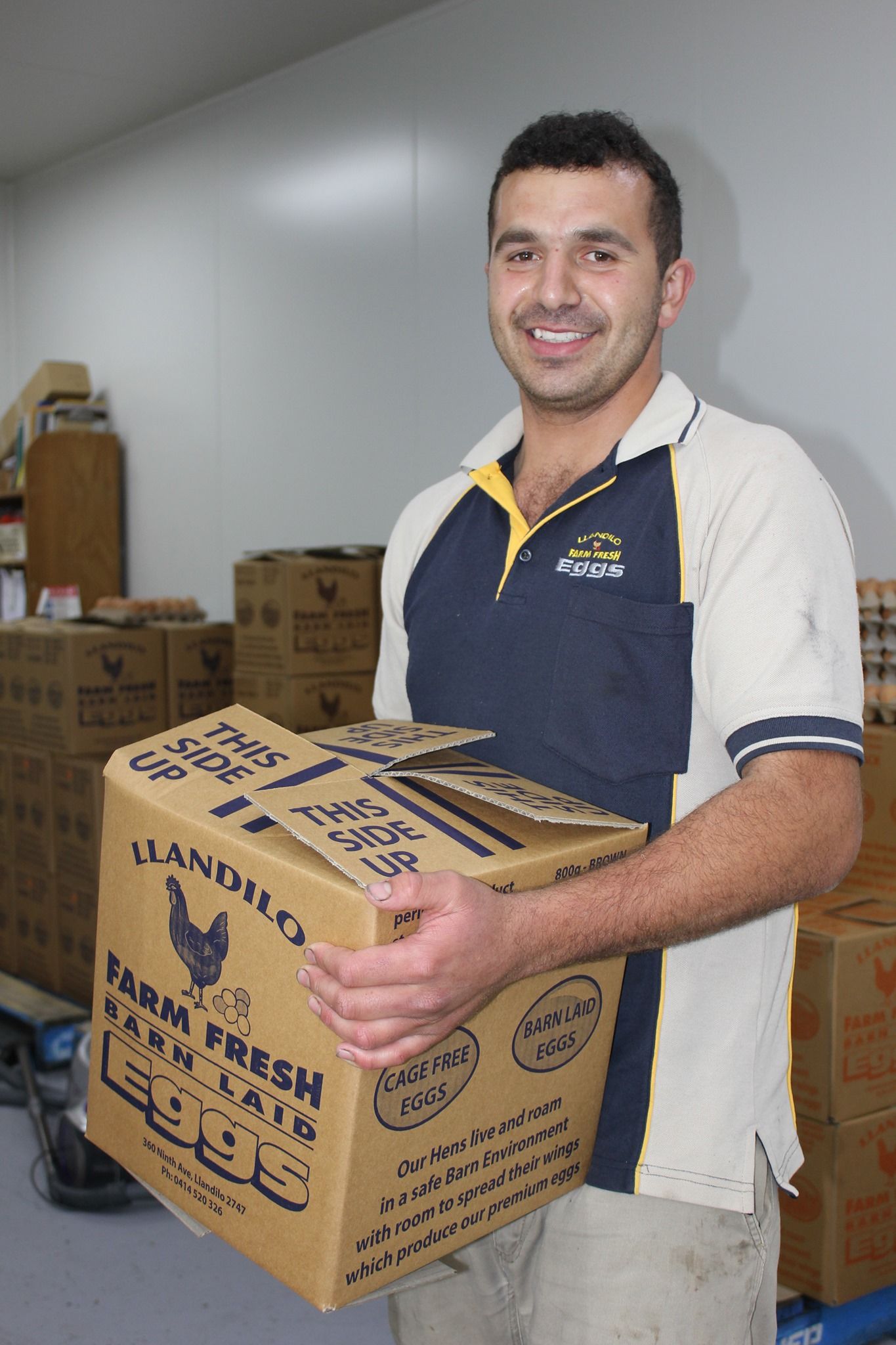 Holding Box of Eggs — Llandilo, NSW — Llandilo Farm Fresh Eggs